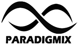 Black infinity symbol above the word "PARADIGMIX" in bold, uppercase letters on a white background.