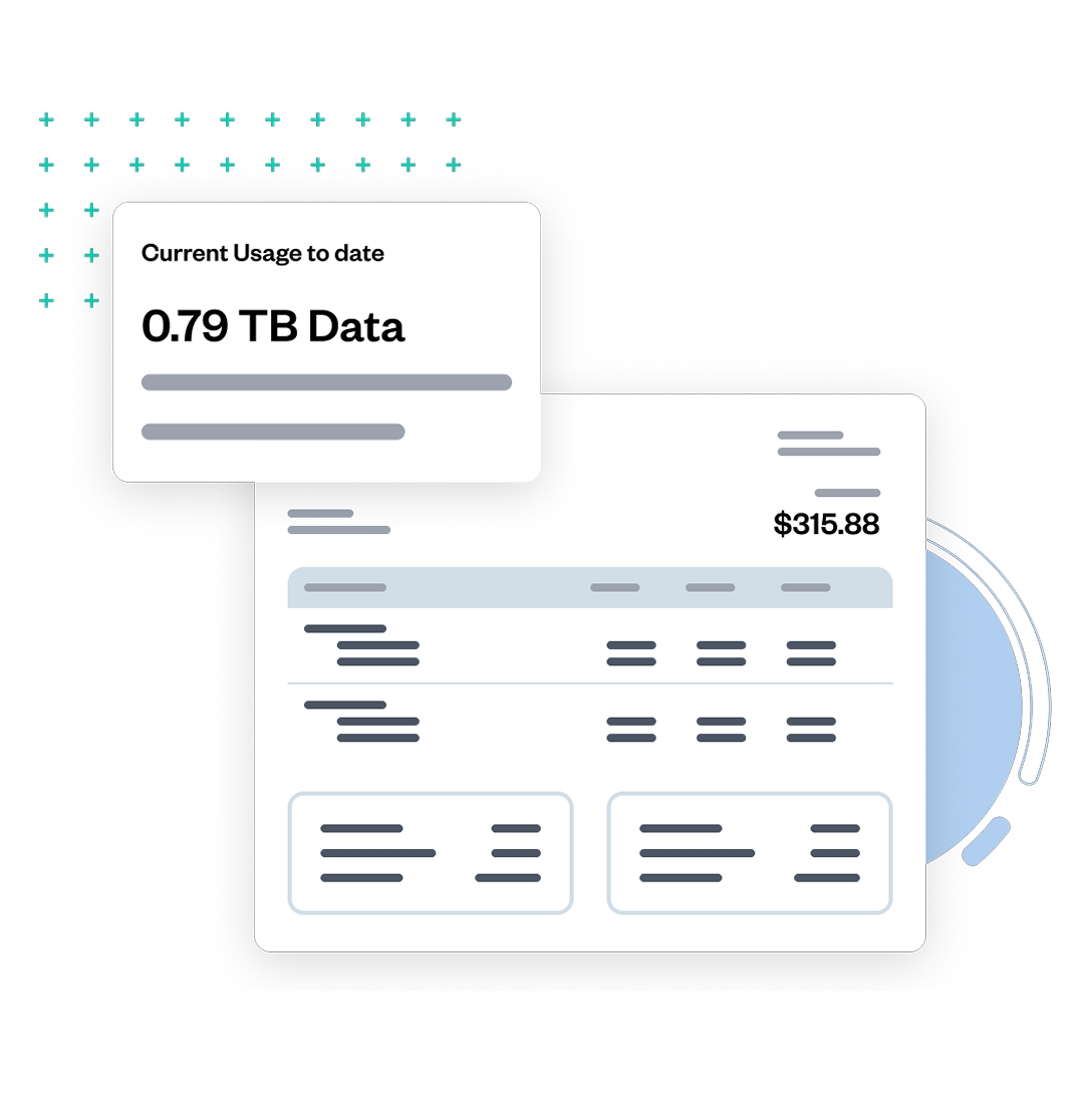 A digital display shows 0.79 TB data usage and a total cost of $315.88, with a list of itemized charges against a black background.