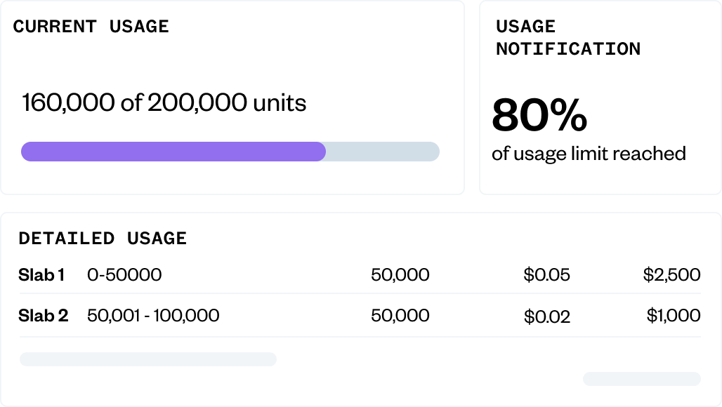Dashboard showing 160,000 of 200,000 units used (80% usage). Detailed usage: 50,000 units at $0.05 and 50,000 units at $0.02, totaling $3,500.